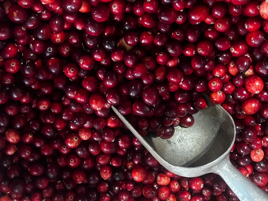 Nutrition and dietary support for urinary wellness